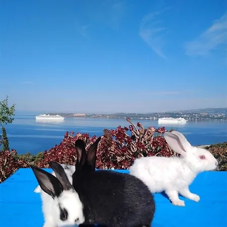 Elena Sea View House 2 Appartement *